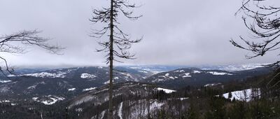 Suchy Groń ↔ Przełęcz Pawlusia