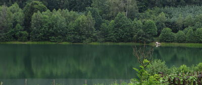 Pęglity ↔ Stare Jabłonki, las