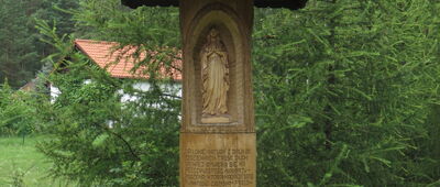 Pęglity ↔ Stare Jabłonki, las