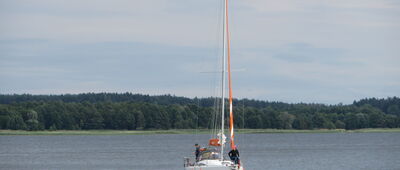 Sztynort ↔ Harsz [dzień 16 - Jezioro Dargin]