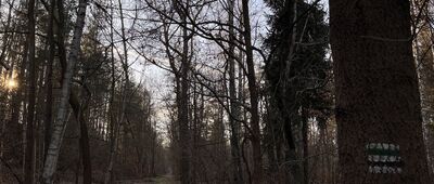 Giszowiec, ul. Mysłowicka ↔ Staw Bolina