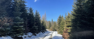 Kotoń Zachodni ↔ Trzebunia, Wronowo