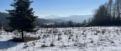 Pod Gorylką ↔ Kotoń Zachodni