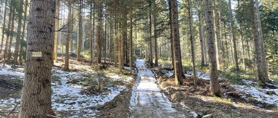 Więciórka Polana ↔ Pod Gorylką