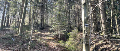 Pod Koskową Górą ↔ Bogdanówka