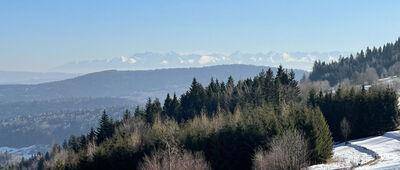 Kapliczka pod Koskową Górą