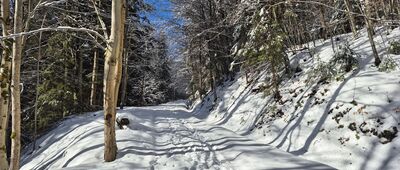 Dolina Kamienicy, odejście szlaku spacerowego ↔ Skrzyżowanie pod Stawieńcem [Na niebieskim szlaku w Dolinie Kamienicy]