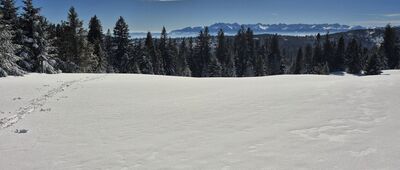 Gorc Troszacki [Polana Gorc Troszacki]