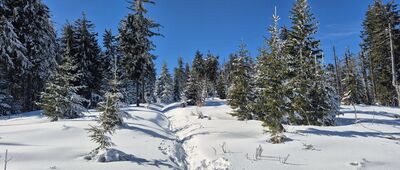 Kudłoń, rozejście szlaków ↔ Gorc Troszacki [W pobliżu Kudłonia]