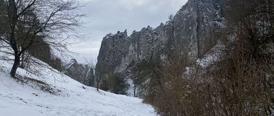 Bolechowice, rozejście szlaków ↔ Zelków, ul. Sportowa