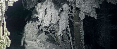 Nad Sokolicą [Czerwony szlak na Diablaka przed wschodem słońca]