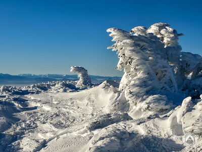 Lodowe rzeźby przy czerwonym szlaku