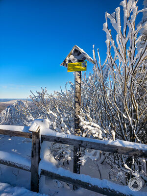 Sokolica 1367 m n.p.m.