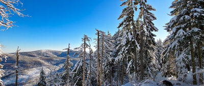 Sokolica ↔ Przełęcz Krowiarki [Poranek na czerwonym szlaku]