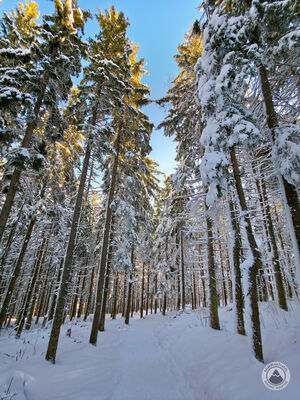 Poranek na czerwonym szlaku