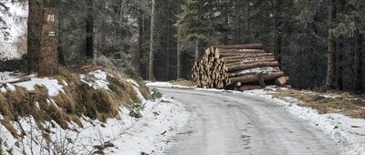 Paczyn, skrzyżowanie ↔ Rozdroże Kowarskie