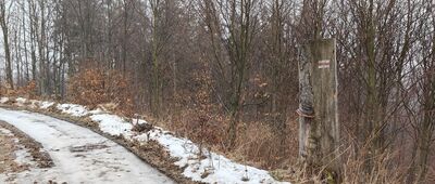 Klatka, potok ↔ Rozdroże Kowarskie