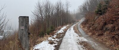 Klatka, potok ↔ Rozdroże Kowarskie