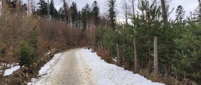 Rozejście szlaków ↔ Rozejście szlaków [O, w tym momencie zima zaczyna walczyć z wiosną.]