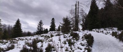 Odejście do chaty drwali [Pod szczytem zima w pełni.]
