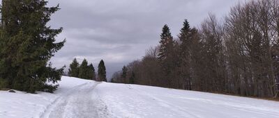 Rozejście szlaków ↔ Wielka Cisowa [Tutaj wciąż zima.]
