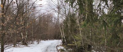 Skrzyżowanie pod Czuplem ↔ Rozejście szlaków [Czy to ostatni śnieg tej zimy?]