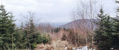 Pod Łazkiem ↔ Skrzyżowanie pod Czuplem [A stąd już prosta droga w dół i widzimy się na szlaku za tydzień.]