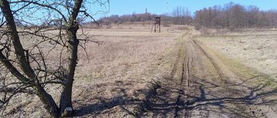 Siemonia ↔ Podsiemonia