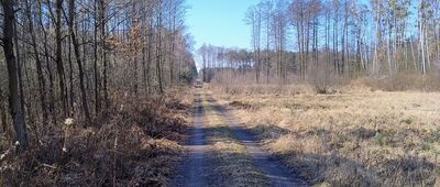 Sączów ↔ Dobieszowice Mołojka