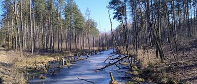 Wymysłów ↔ Dobieszowice Mołojka