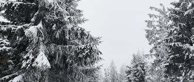 Wisielakówka [Wisielakówka (luty 2026)]