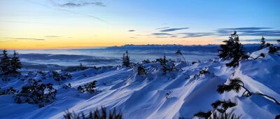 Babia Góra, dojście szlaku żółtego ↔ Nad Sokolicą