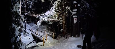 Odejście ścieżki edukacyjnej ↔ Kolista Polana