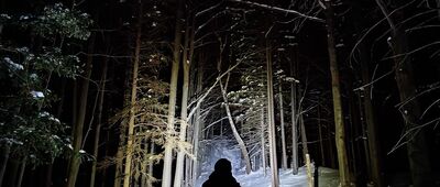 Odejście ścieżki edukacyjnej ↔ Kolista Polana