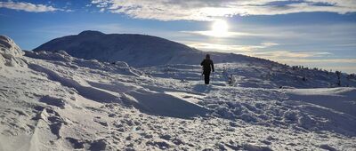 Przełęcz Brona ↔ Babia Góra (Diablak)