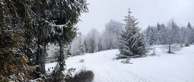 Nowy Targ, Oleksówki ↔ Bukowina Waksmundzka