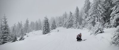 Bukowina Miejska ↔ Wisielakówka