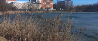 Kraków, Kurdwanów ↔ Kraków [Staw przy ul. Przyjaźni Polsko-Węgierskiej]