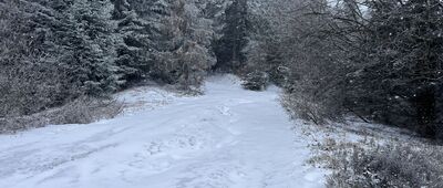 Piwniczna-Zdrój, ul. Partyzantów ↔ Kamienny Groń