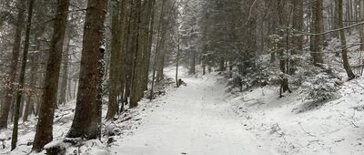 Wielki Rogacz ↔ Kramarka