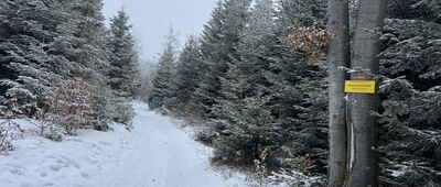 Wielki Rogacz ↔ Kramarka