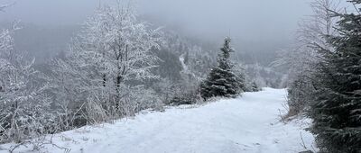Przełęcz Żłobki, rozejście szlaków ↔ Wielki Rogacz