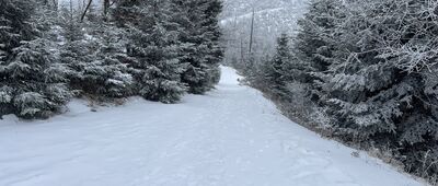 Przełęcz Żłobki, rozejście szlaków