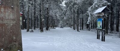 Radziejowa
