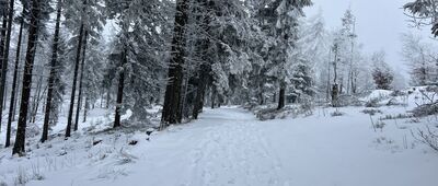 Schronisko PTTK Przehyba ↔ Rozdroże Pod Wielką Przehybą