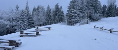 Schronisko PTTK Przehyba