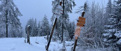 Skrzyżowanie na Przehybie