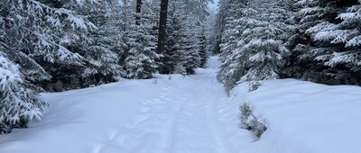 Rokita ↔ Mała Przehyba