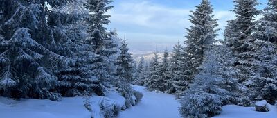 Skrzyżowanie na Przehybie ↔ Skrzyżowanie pod Przehybą