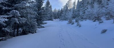 Skrzyżowanie pod Przehybą